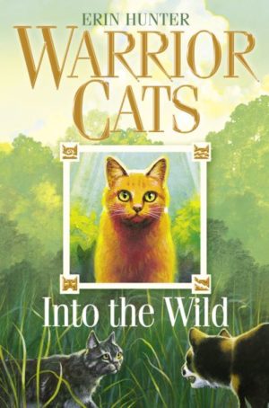 Warrior Cats Into The Wild