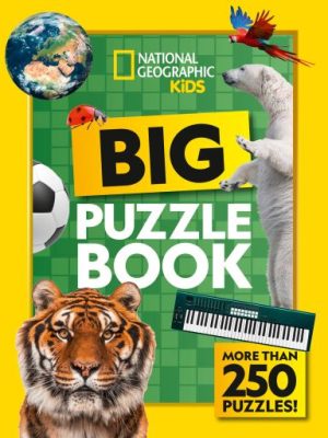 Big Puzzle Book