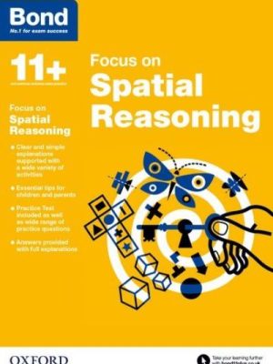 Focus on Spatial Reasoning