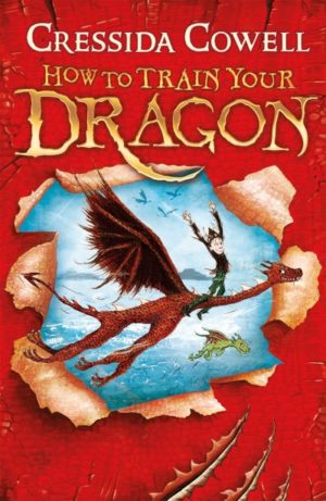 Hiccup How To Train Your Dragon