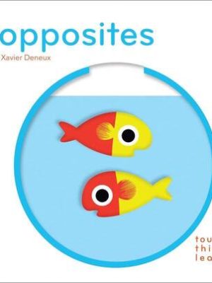 TouchThinkLearn Opposites