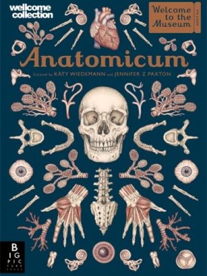 Anatomicum